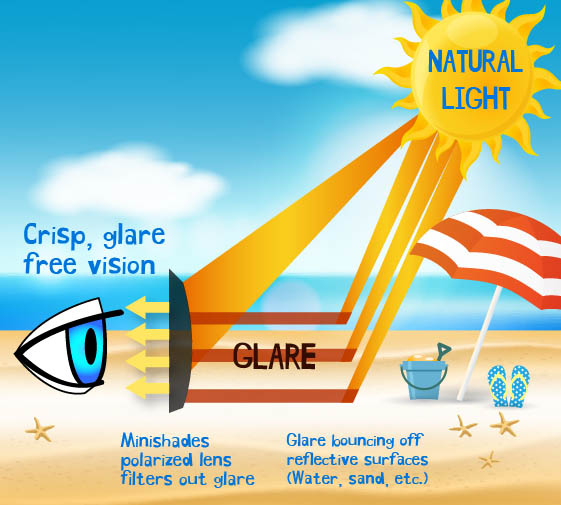 What do polarized lenses do?