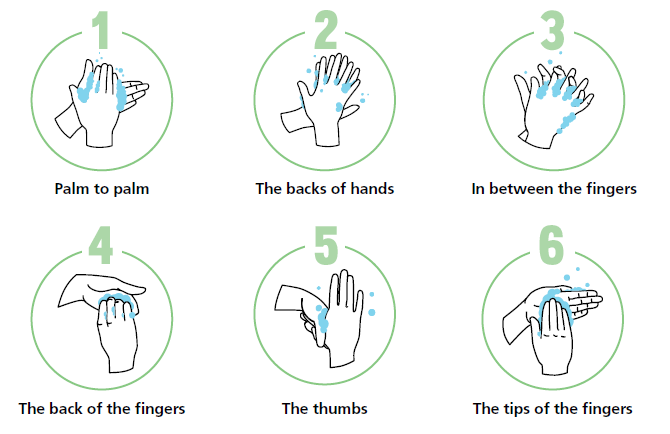 How to wash your hands properly