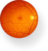 Retinal image